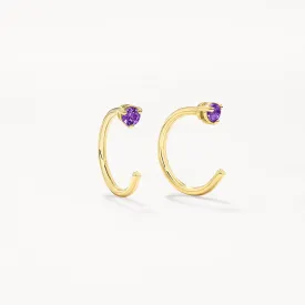 Amethyst February Birthstone Hook Stud Earrings in 10k Gold